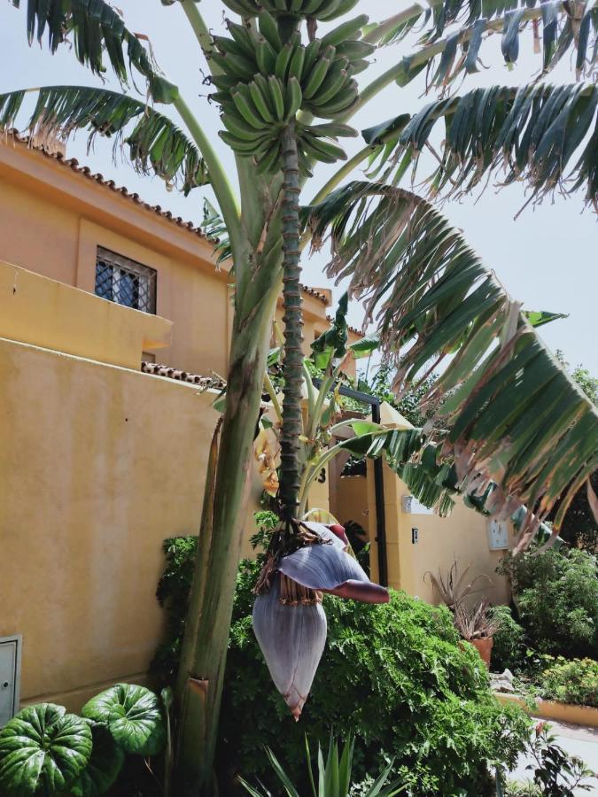 Dudi'S Peppers Apartment Málaga Exterior foto